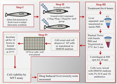 Bioactive Molecule from Streptomyces sp. Mitigates MDR Klebsiella pneumoniae in Zebrafish Infection Model